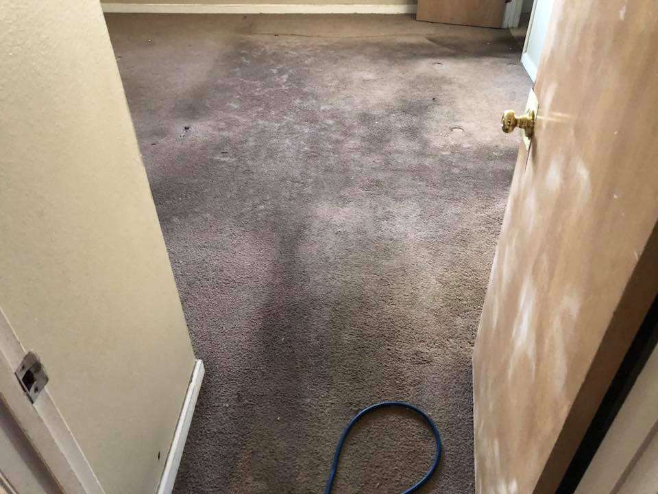 Americas Choice Carpet Cleaning | 4824 Appleseed Ct, San Antonio, TX 78238, USA | Phone: (210) 901-3556