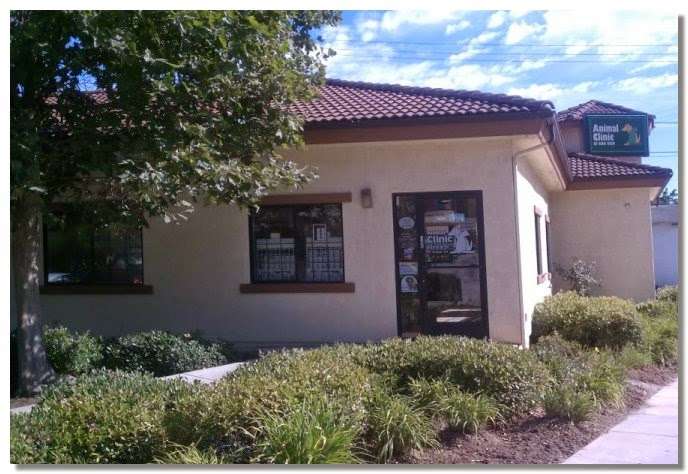 Animal Clinic of Oak View | 600 N Ventura Ave, Oak View, CA 93022 | Phone: (805) 649-4094