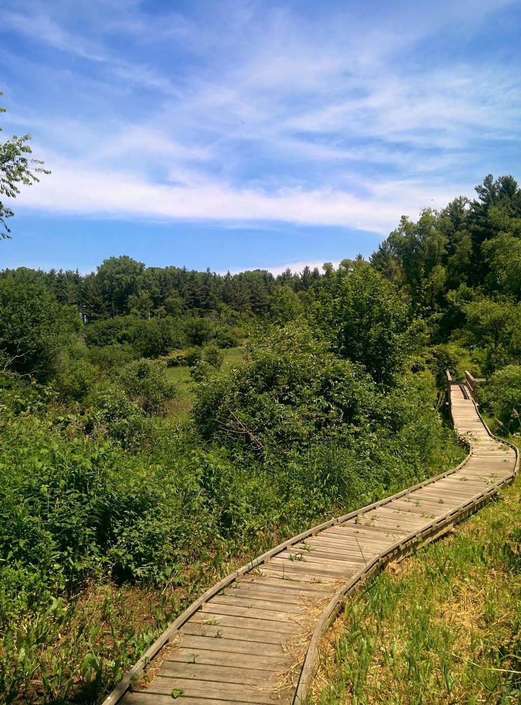 Clover Valley Fen | Hi Lo Rd, Whitewater, WI 53190, USA | Phone: (608) 266-2621