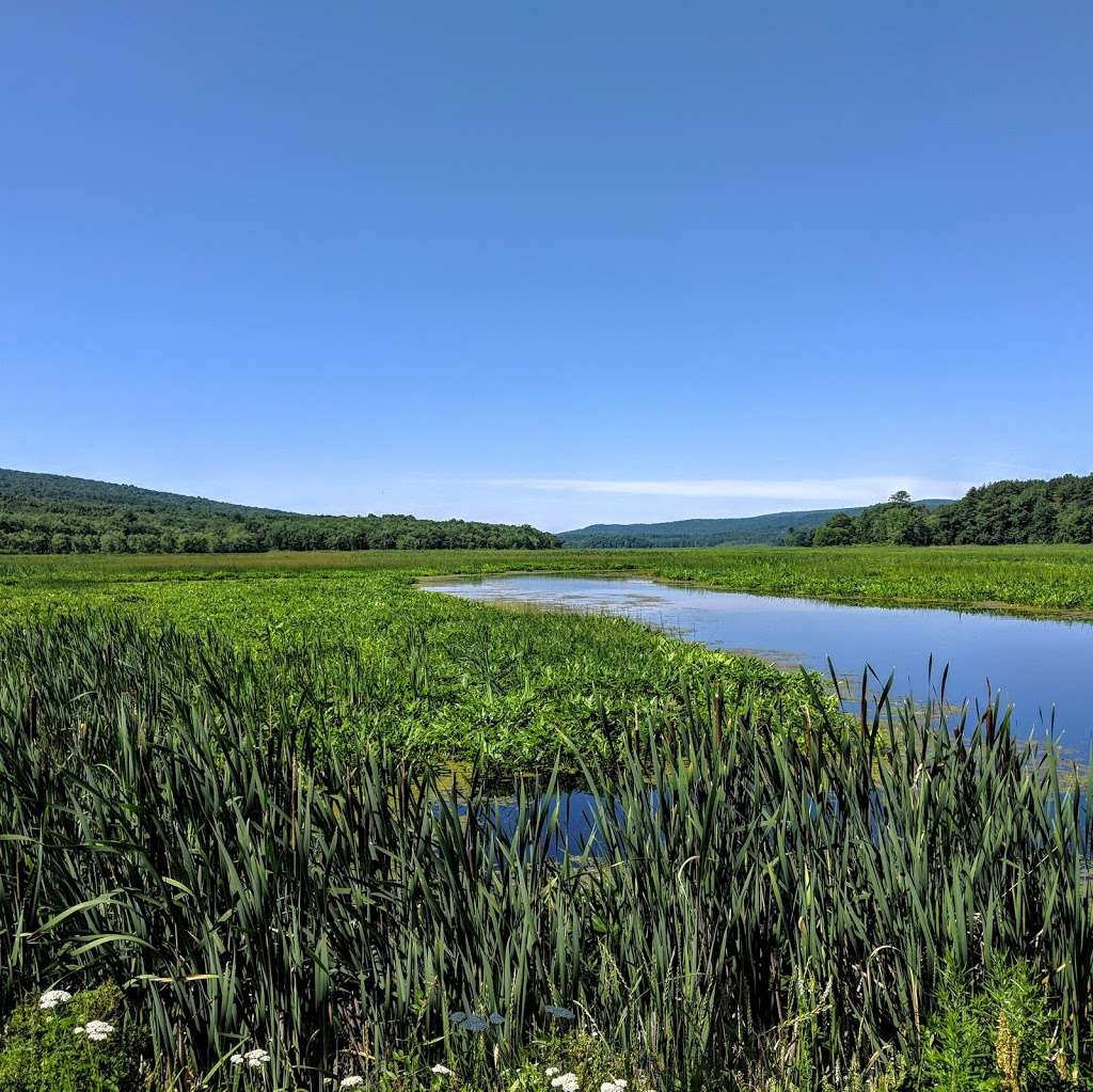 The Basha Kill Marsh | Wurtsboro, NY 12790, USA | Phone: (845) 754-0743