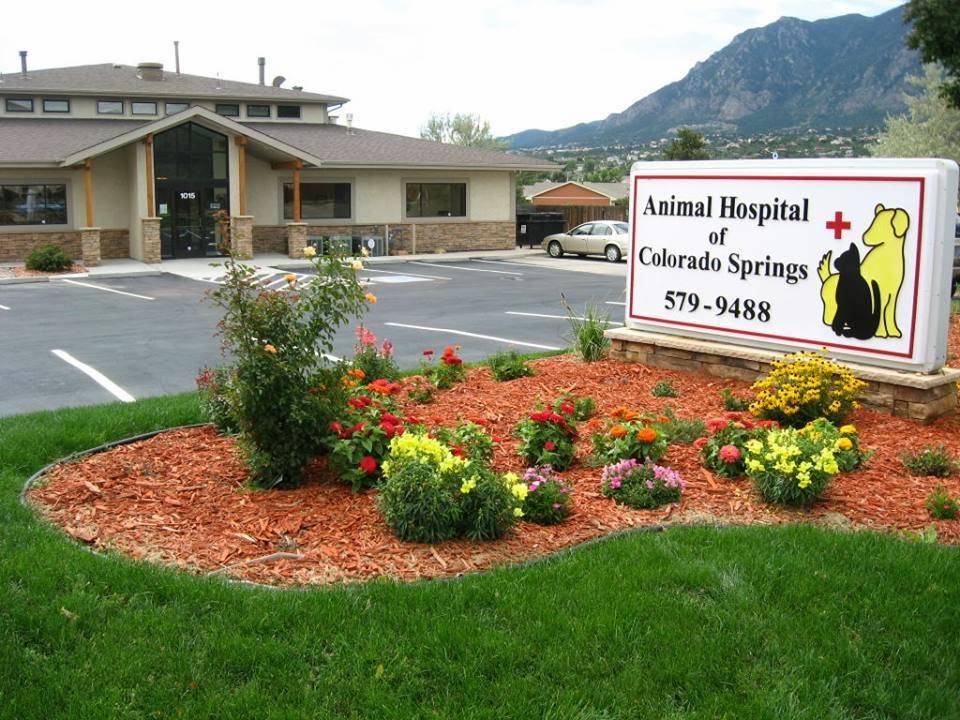 Animal Hospital of Colorado Springs | 1015 Cheyenne Meadows Rd, Colorado Springs, CO 80906, USA | Phone: (719) 579-9488