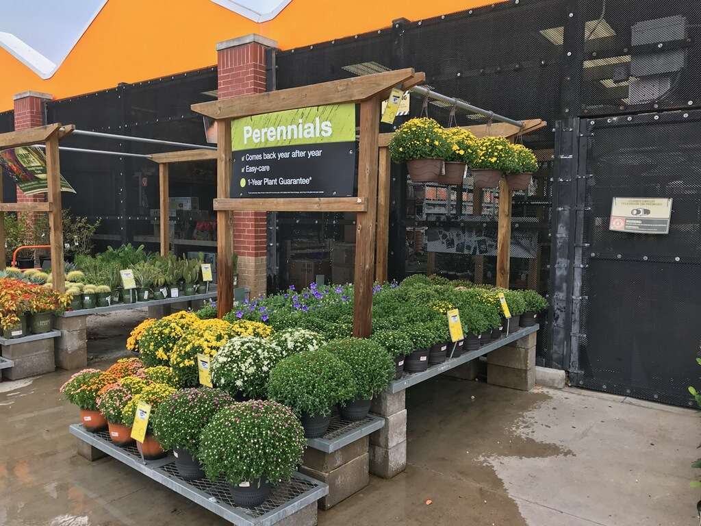 Garden Center at The Home Depot | 8400 Katy Fwy, Houston, TX 77024 | Phone: (713) 984-2741