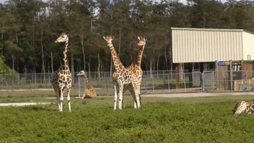 Moniques Cinema | 17882 Prado Blvd, Loxahatchee, FL 33470, USA | Phone: (954) 658-1344