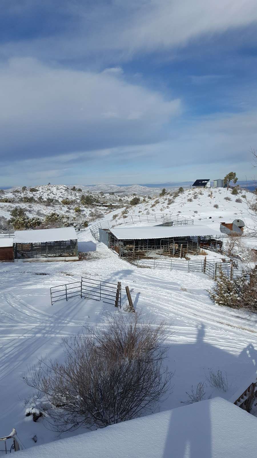 Oak Springs Ranch Riding Stables | 182 Fawnskin St, Apple Valley, CA 92308 | Phone: (760) 953-9299