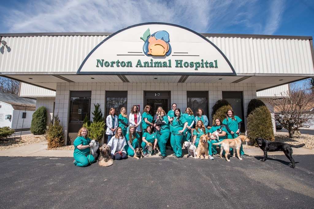 Norton Animal Hospital | 147 W Main St, Norton, MA 02766, USA | Phone: (508) 285-9822