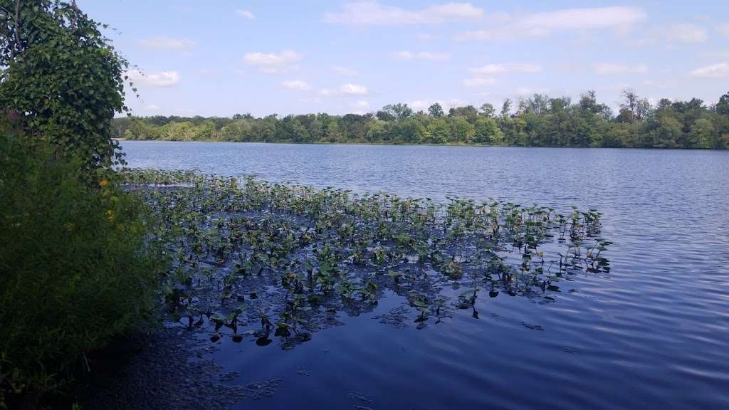 Delaware and Raritan Canal State Park Trail | Delaware and Raritan Canal State Park Trail, Princeton, NJ 08540, USA