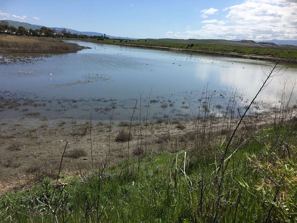 Coyote Creek Lagoon Trail | Fremont, CA 94538, USA