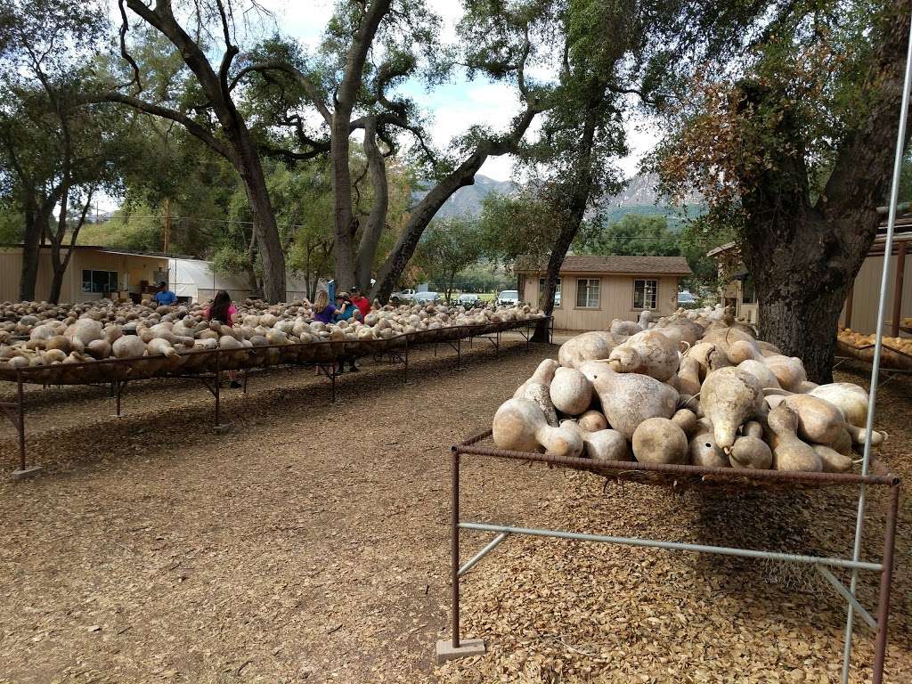 Welburn Gourd Farm | 40635 De Luz Rd, Fallbrook, CA 92028 | Phone: (760) 728-4271