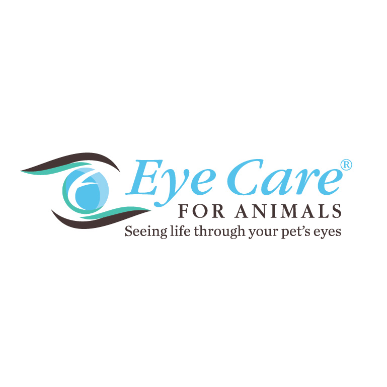 Eye Care for Animals | 3609 US-98, Lakeland, FL 33803, USA | Phone: (813) 881-9799