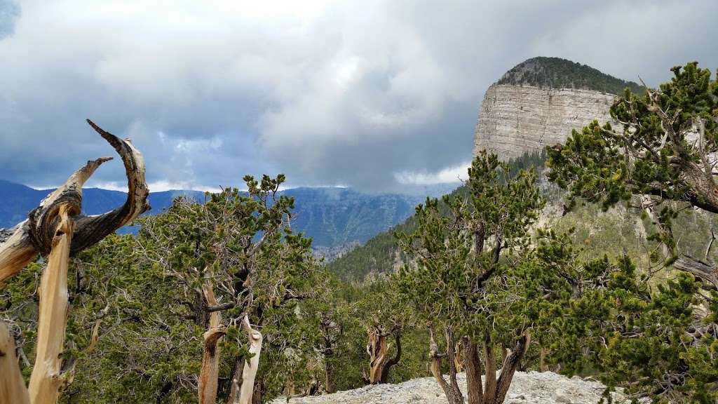 Mt. Charleston Wilderness | Mt Charleston, NV 89124, USA | Phone: (702) 872-5486