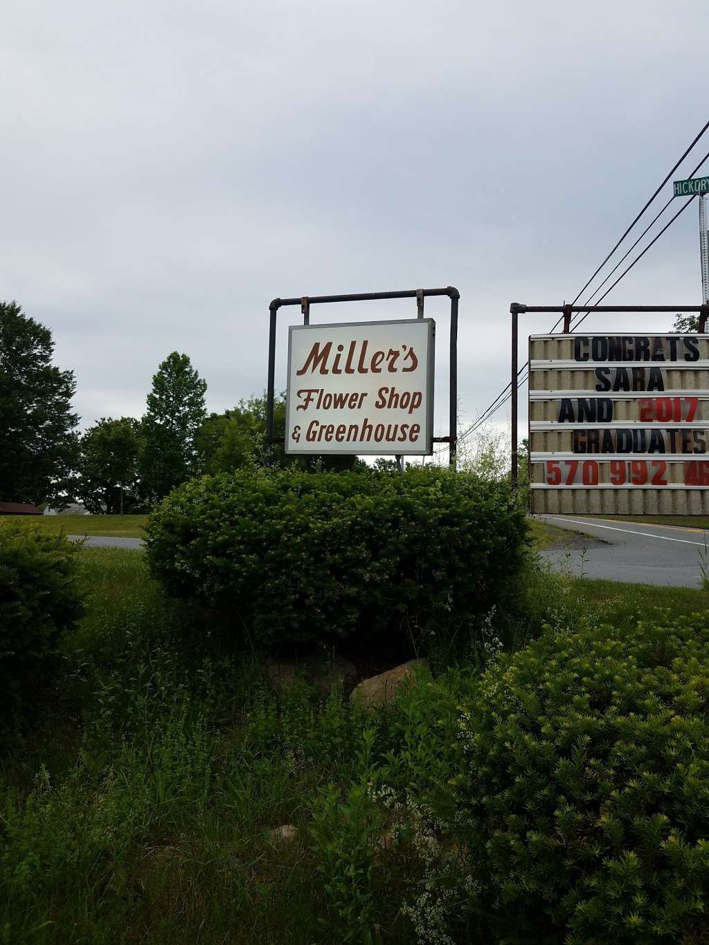 Millers Flower Shop by Kate | 2247 Route 209, Sciota, PA 18354, USA | Phone: (570) 992-4612