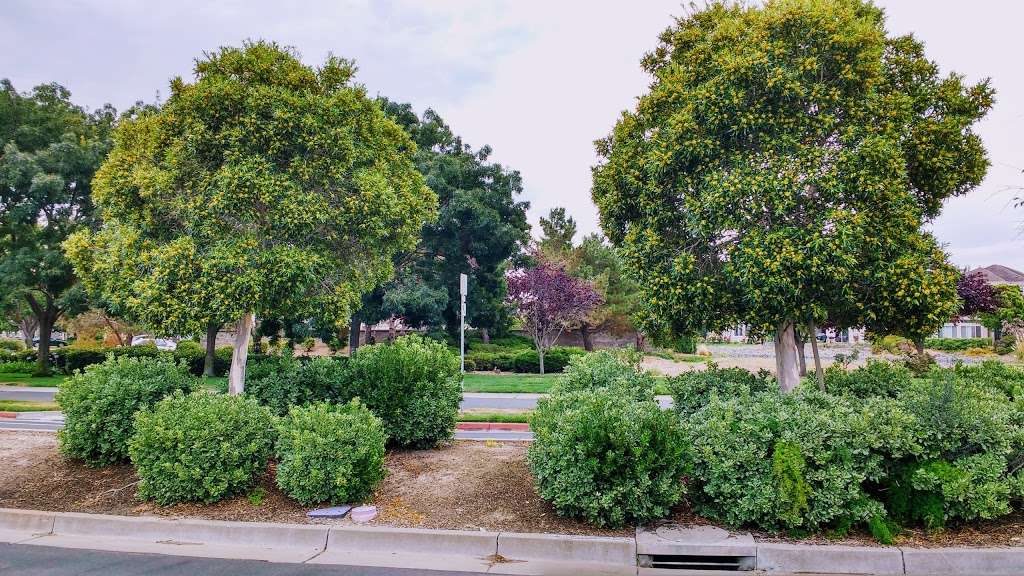 Preserve Park | 99, Shearwater Pkwy, Redwood City, CA 94065