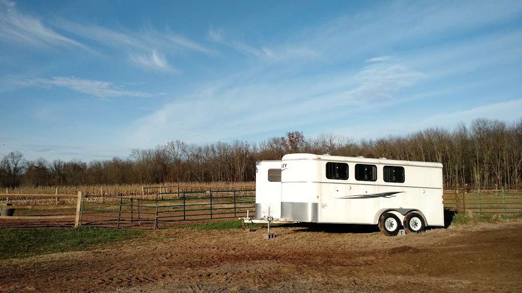 Robinson Equestrian | 36 Deardorff Road, Back Barn, Dillsburg, PA 17019, USA | Phone: (717) 609-7753