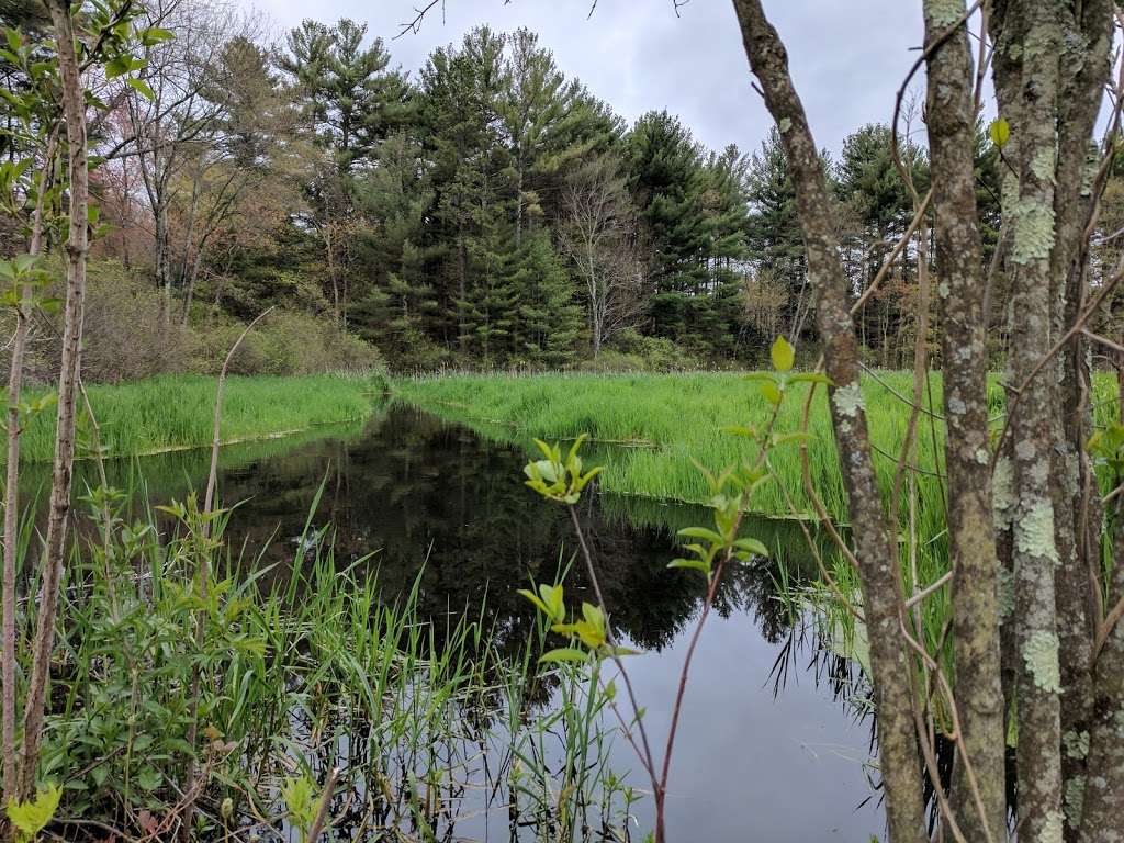 Carding Mill Pond | 102 Dutton Rd, Sudbury, MA 01776, USA