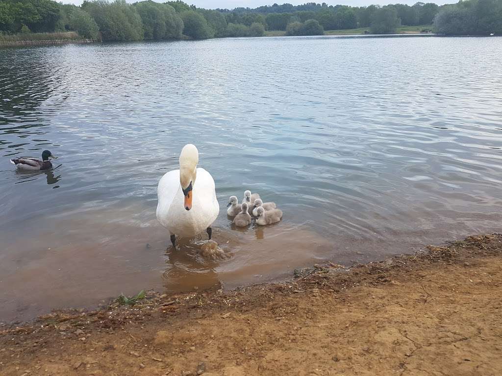 Barden Lake | Tonbridge TN9 1XU, UK