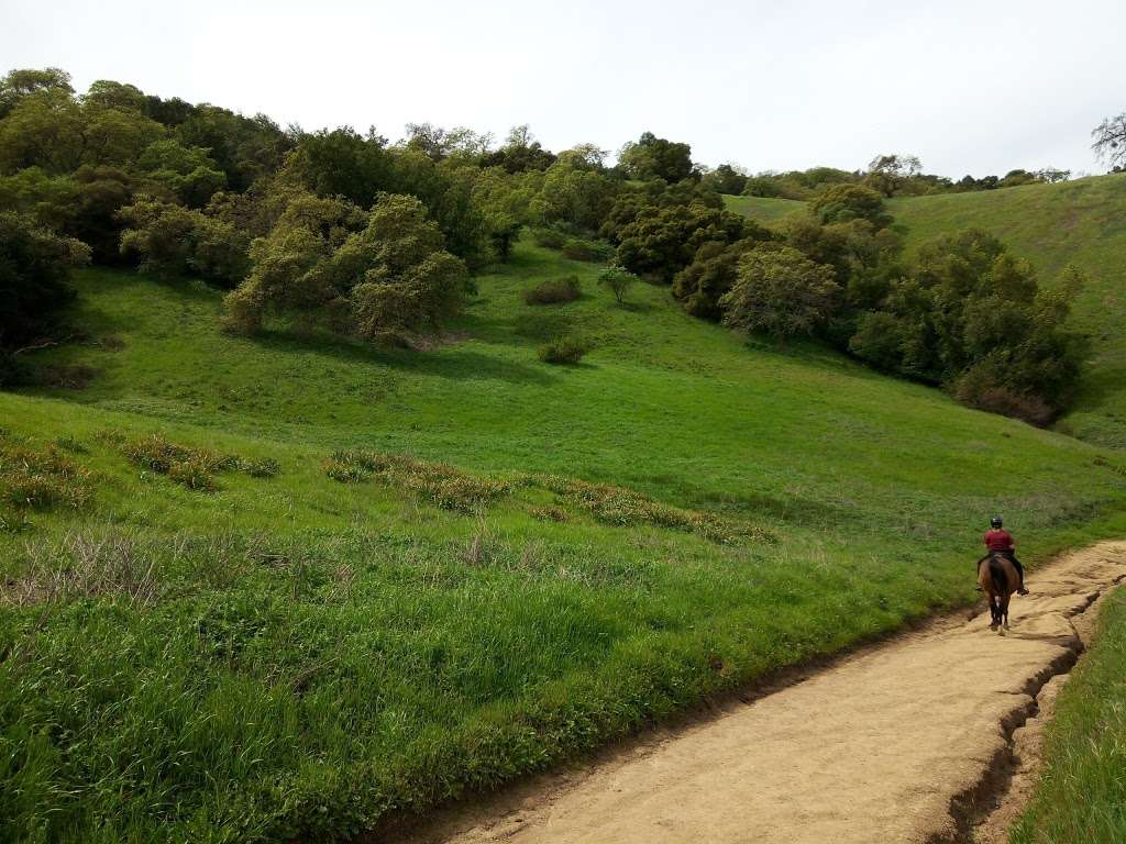 Calero County Park | 23205 McKean Rd, San Jose, CA 95120, USA | Phone: (408) 535-4070