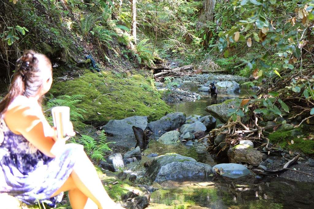 Caz Sonoma Inn | 1000 Kidd Creek Rd, Cazadero, CA 95421, USA | Phone: (707) 632-5255