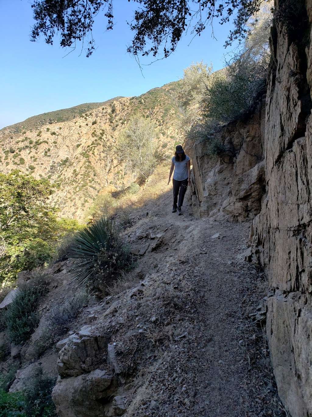Dawn Mine Trail | Altadena, CA 91001, USA