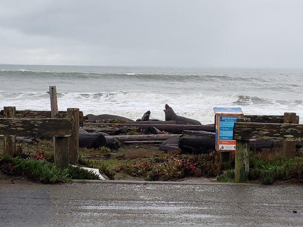 Kenneth C. Patrick Visitor Center | 1 Drakes Beach Rd, Inverness, CA 94937, USA | Phone: (415) 669-1250