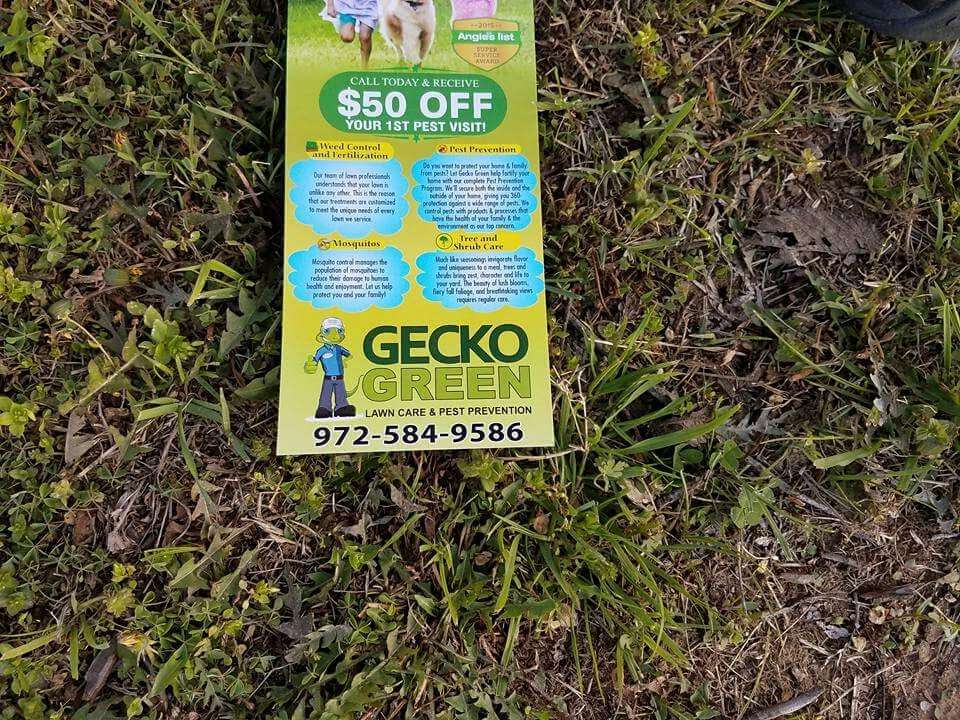 Gecko Green | 6015 Commerce Dr Ste 400, Irving, TX 75063, USA | Phone: (972) 846-4683