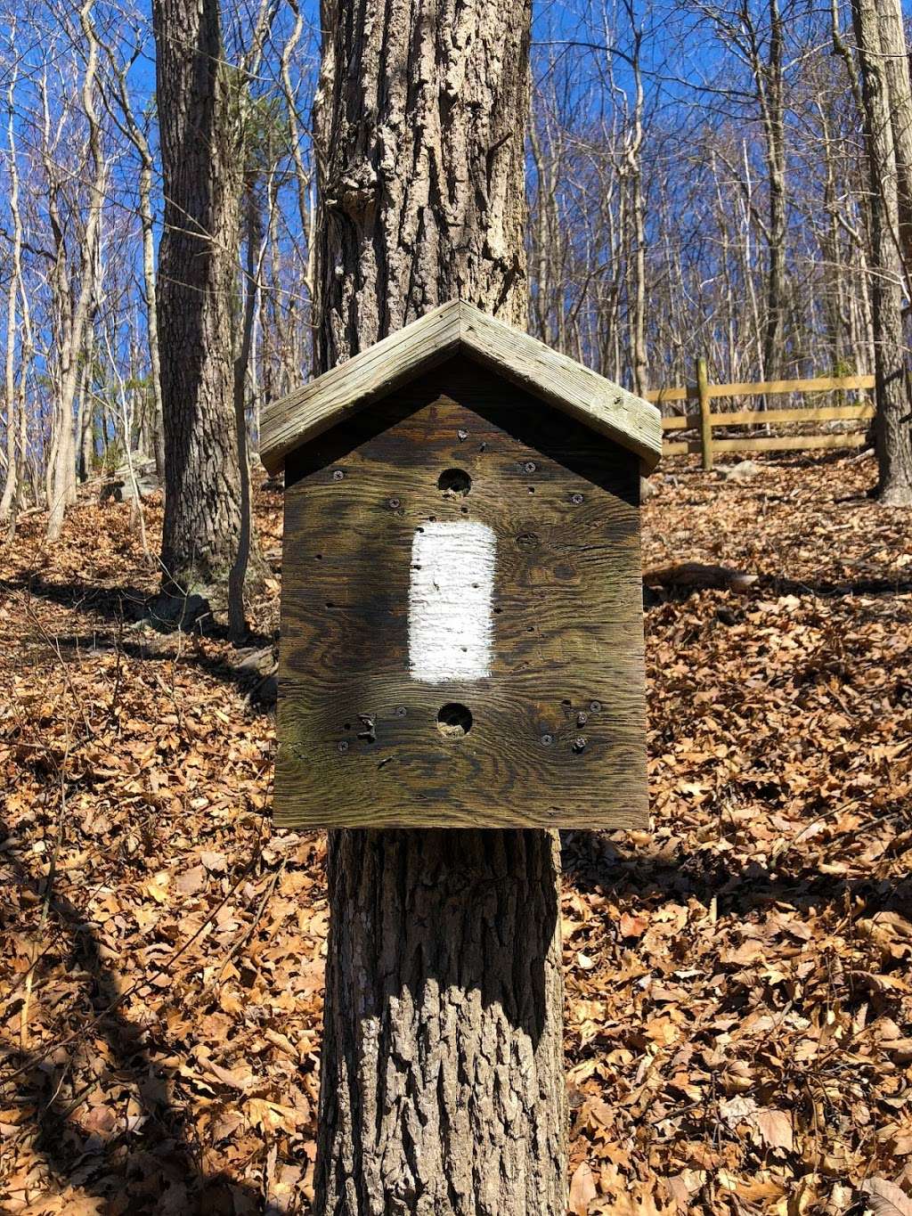 Applachian Trail Access Point | Pine Grove Rd, Bluemont, VA 20135, USA