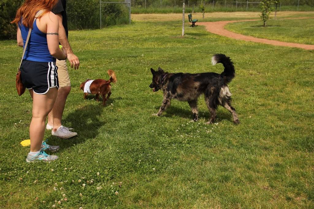 Orland Park "Dogout" Dog Park | 15600 West Ave, Orland Park, IL 60462, USA | Phone: (708) 403-6219