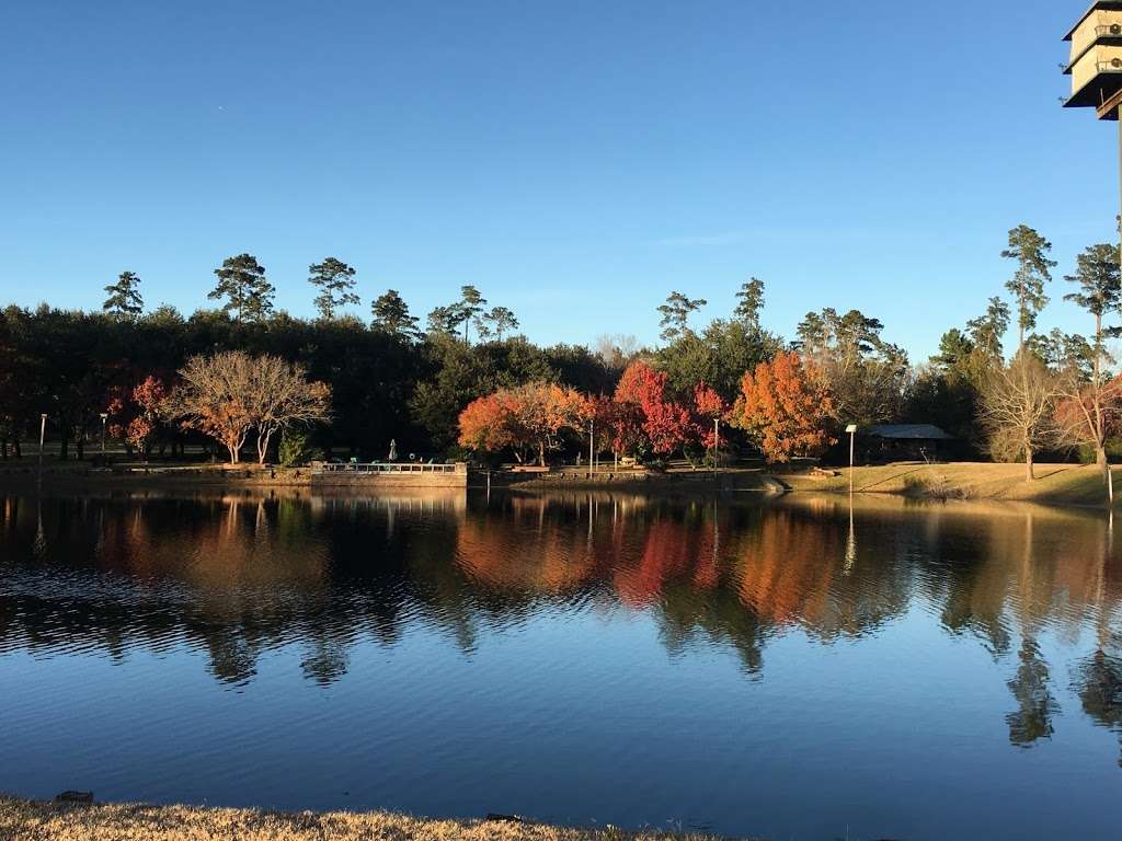 Double Bar B Wedding Venue & Guest Ranch | 17695 FM 1774, Plantersville, TX 77363, USA | Phone: (281) 300-8457