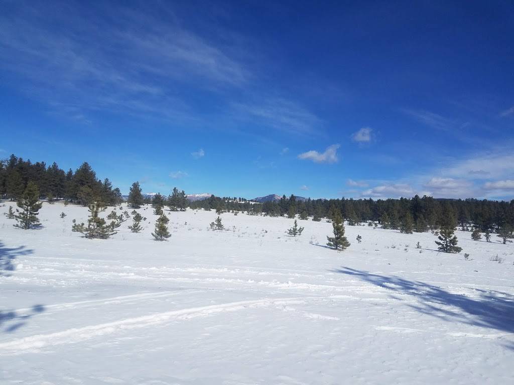 Badger Flats Campsite | Forest Rd 224, Lake George, CO 80827, USA