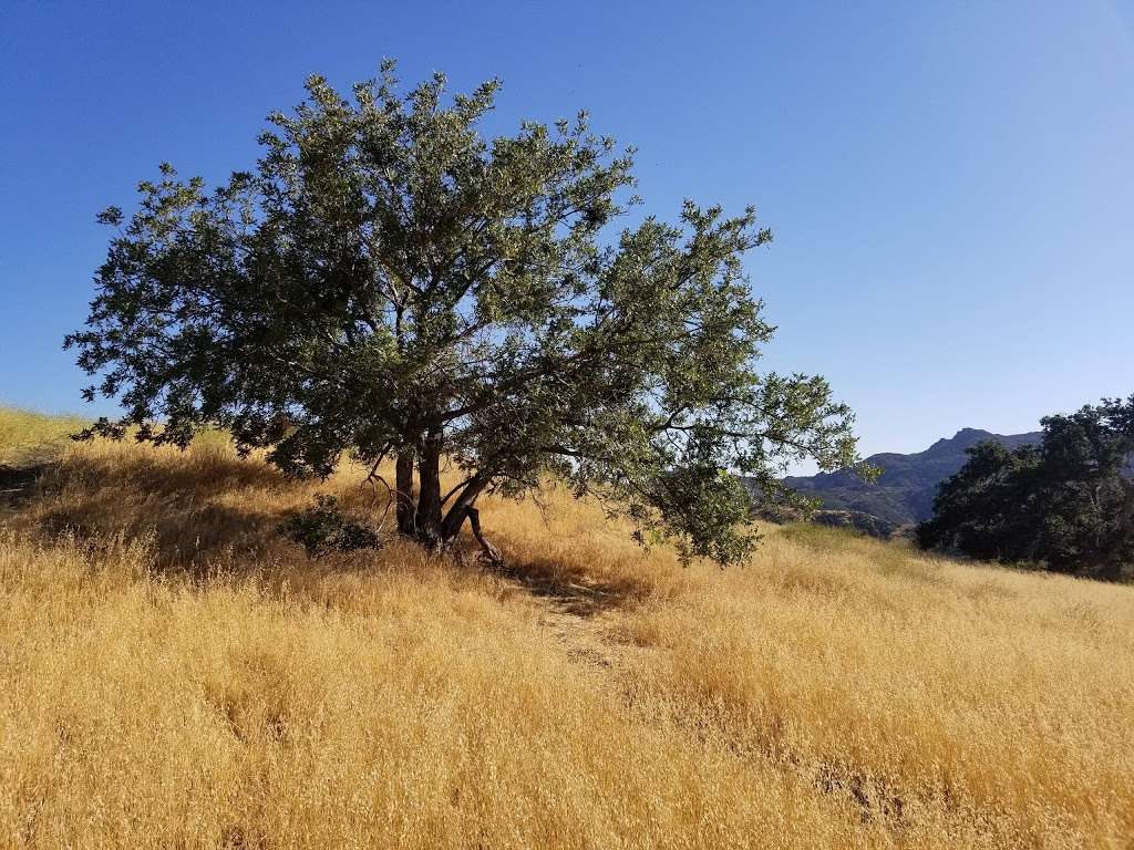 Michael D. Antonovich Regional Park at Joughin Ranch | 16100 Browns Canyon Rd, Northridge, CA 91326, USA | Phone: (310) 589-3200