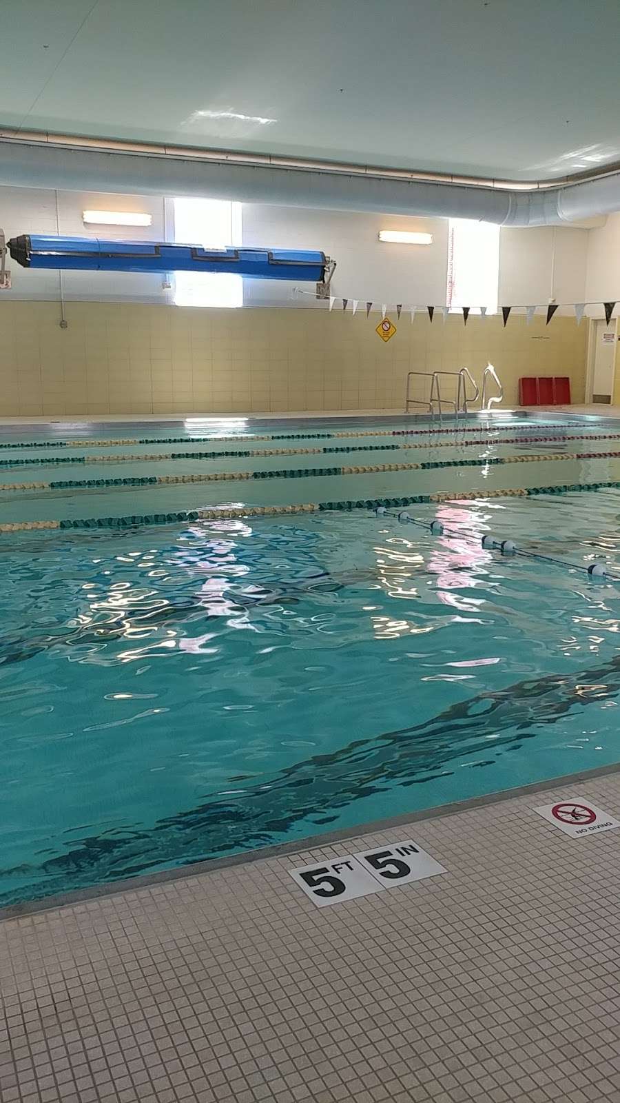Y Swim Center in Dundalk | 120 Trading Pl, Dundalk, MD 21222, USA | Phone: (410) 285-7616