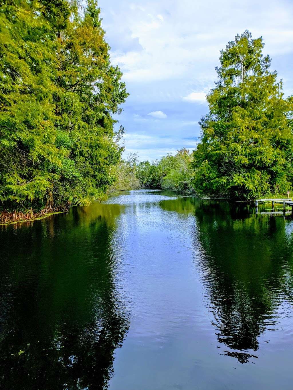 Lake Griffin State Park | 3089 US-441, Fruitland Park, FL 34731, USA | Phone: (352) 360-6760