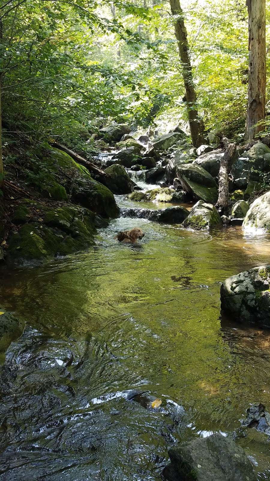 Appalachian Trail | Appalachian Trail, Highland Lakes, NJ 07422, USA