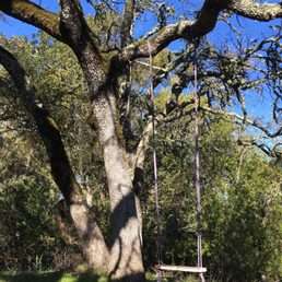 Tree Swing | Old Spanish Trail, Portola Valley, CA 94028, USA