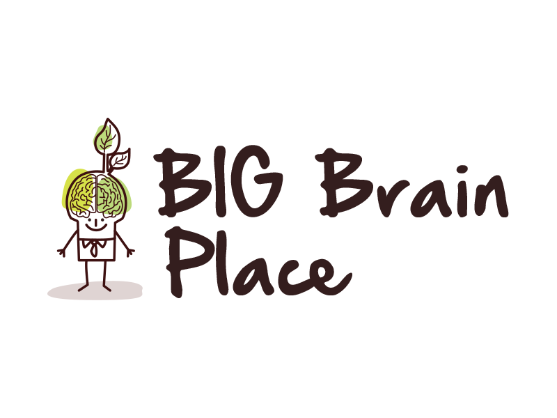 Big Brain Place Inc. | 16 Menfi Way, Hopedale, MA 01747, USA | Phone: (508) 381-1966