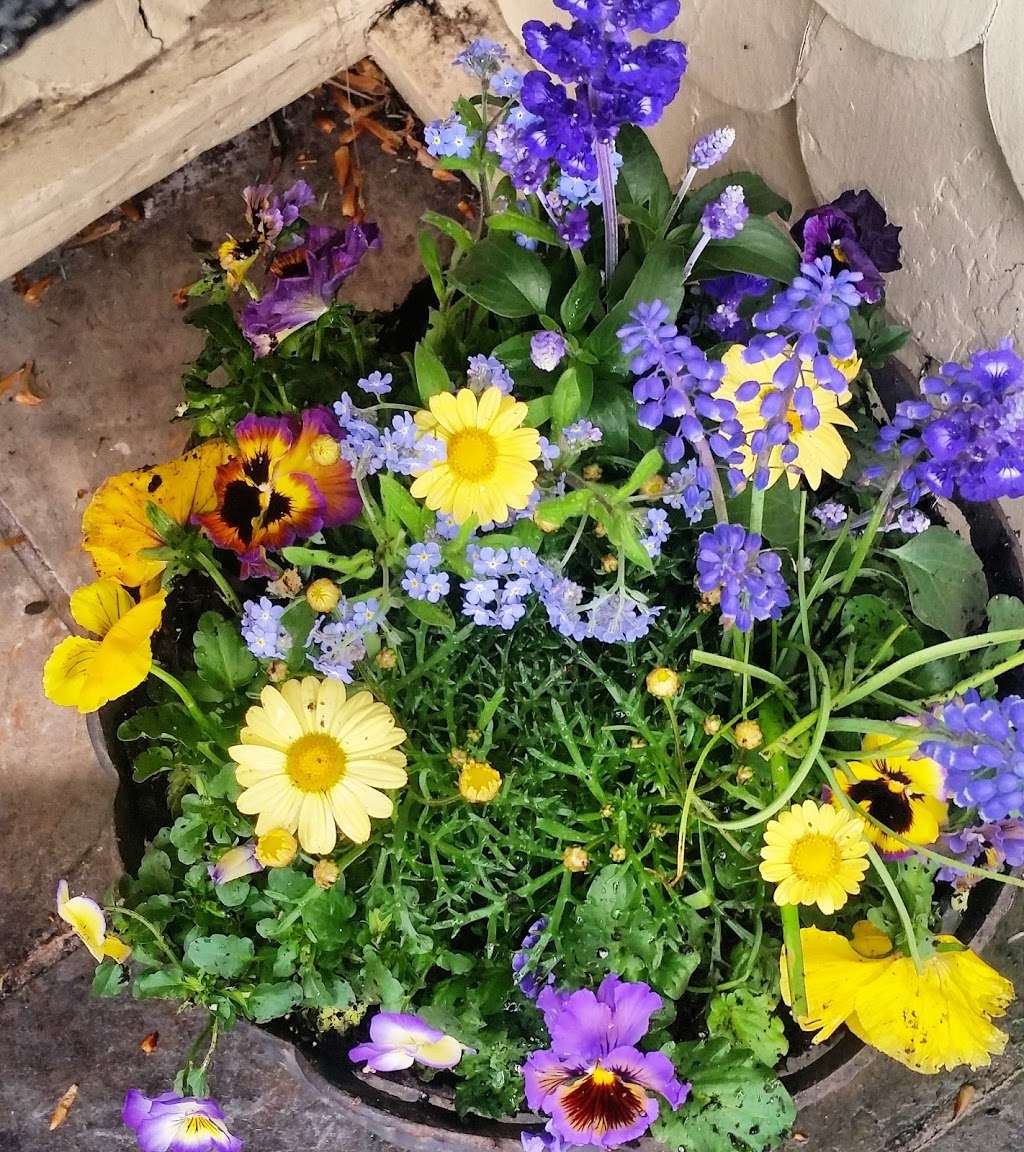 Floral Designs by Jamie Lee | 34 Orange Ave, Ambler, PA 19002, USA | Phone: (610) 291-0390