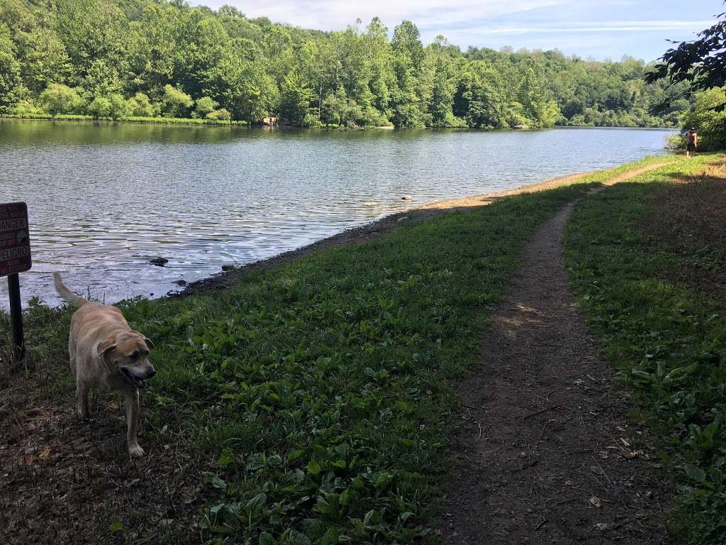 Lake Mohegan Dog Park | Morehouse Hwy, Fairfield, CT 06825, USA