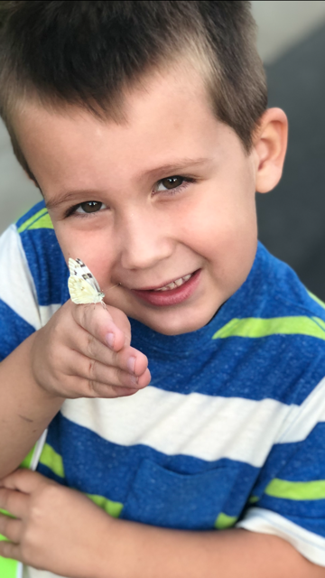 Moorpark KinderCare | 3987 Spring Rd, Moorpark, CA 93021, USA | Phone: (805) 529-1093