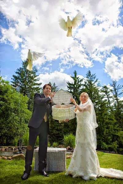 Say It With Doves | 2233 Farmersville Rd, Bethlehem, PA 18020, USA | Phone: (610) 868-3443