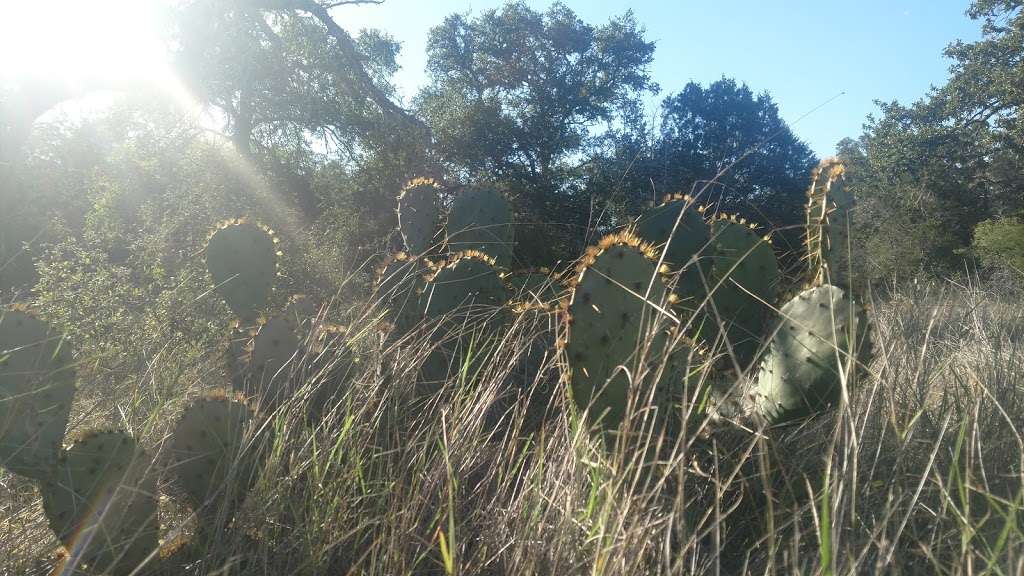 Bracken Cave Preserve (Bat Conservation International Inc Events | 26101 FM3009, San Antonio, TX 78266, USA