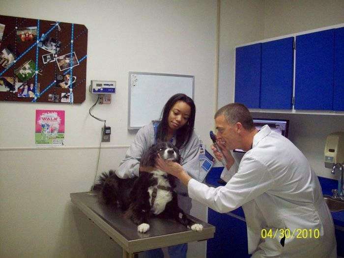VCA Lewis Animal Hospital | 10665 Clarksville Pike, Columbia, MD 21044, USA | Phone: (410) 730-6660