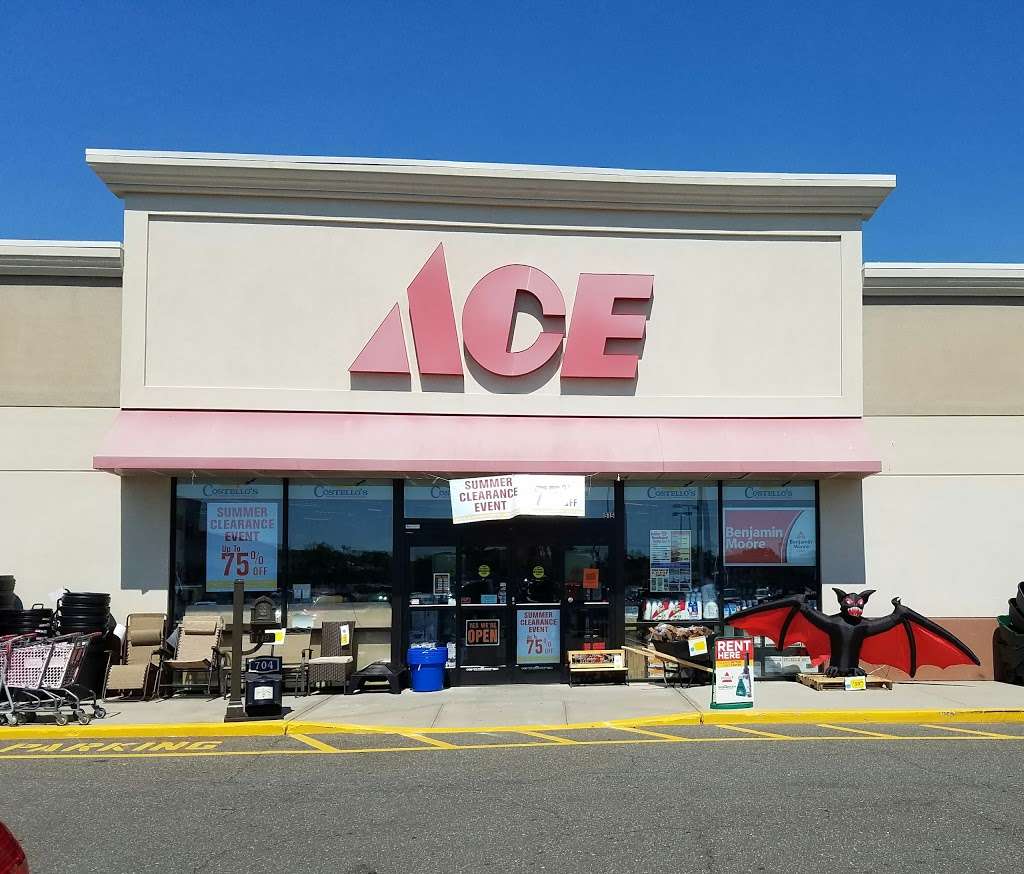 Costellos Ace Hardware of West Babylon | 515 Montauk Hwy, West Babylon, NY 11704, USA | Phone: (631) 321-1316