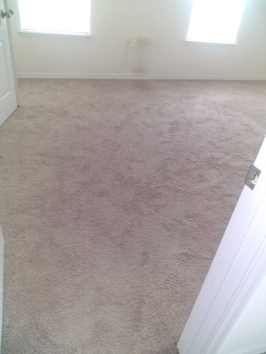 Royalty Carpet Cleaning Inc | PO Box 261373, Tampa, FL 33685, USA | Phone: (813) 598-0222