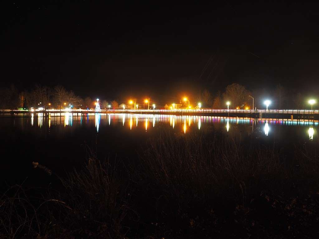 Dominos Pizza | 100 Lakehurst Rd, Browns Mills, NJ 08015, USA | Phone: (609) 893-1600