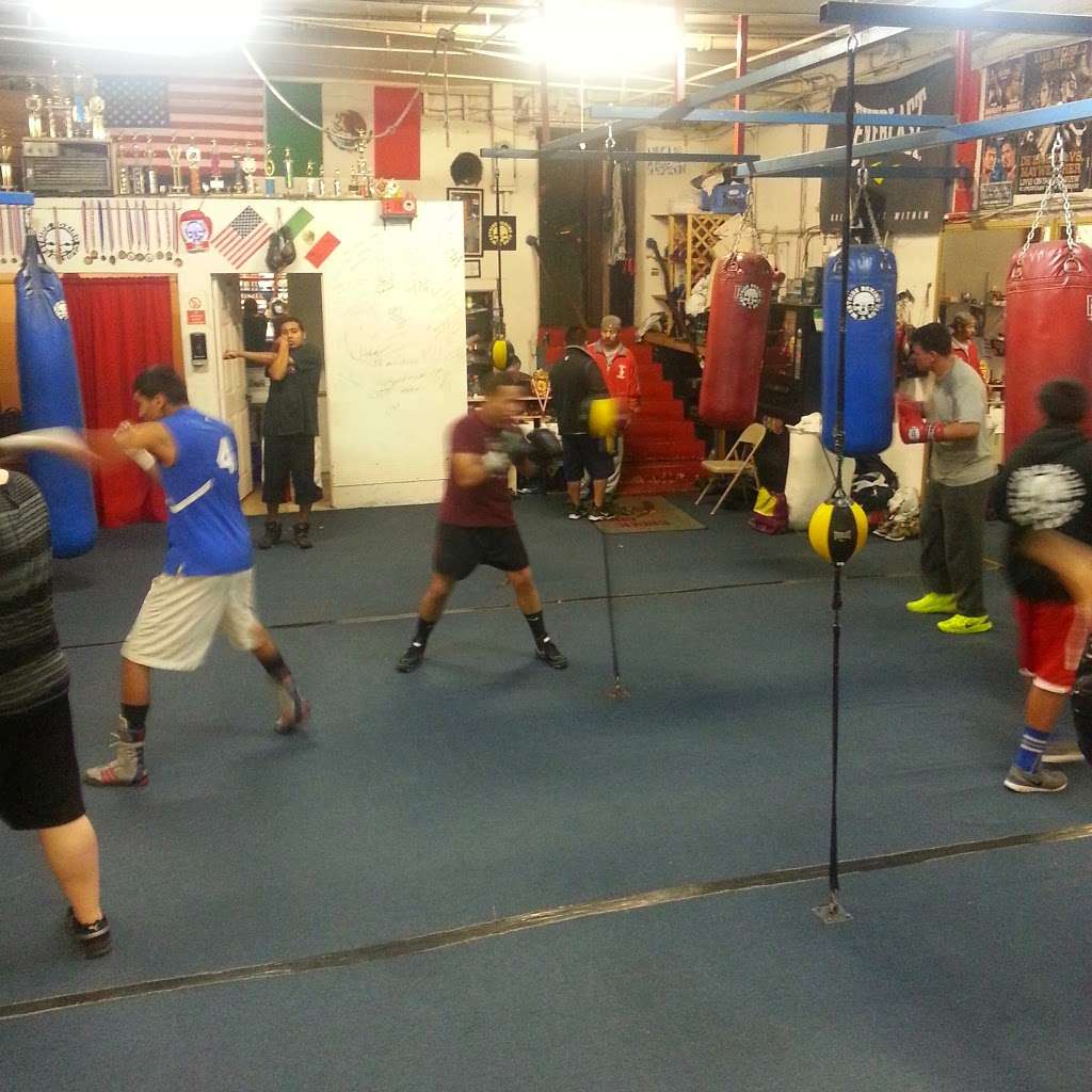 Westside Boxing Club | 4500 Pico Blvd, Los Angeles, CA 90019, USA | Phone: (310) 569-5503