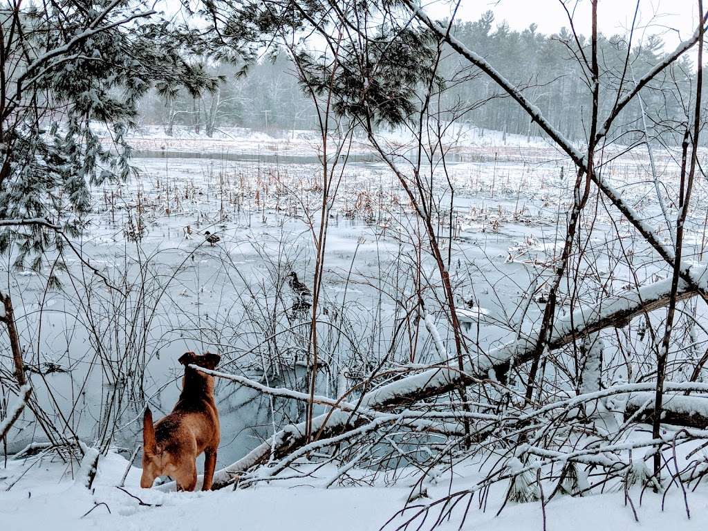 Stony Brook Conservation Land | Westford, MA 01886, USA | Phone: (978) 692-5532