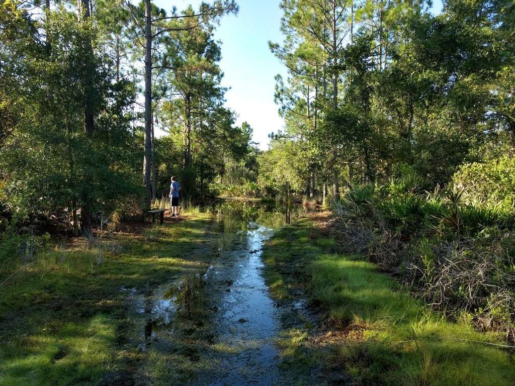 Hickory Bluff Preserve | 598 Guise Rd, Osteen, FL 32764 | Phone: (386) 424-6834