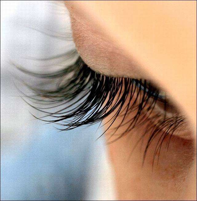 EYELASH EXTENSIONS and EYELASH/BROW TINTING | 18455 Miramar Pkwy, Miramar, FL 33029, USA | Phone: (954) 242-2888