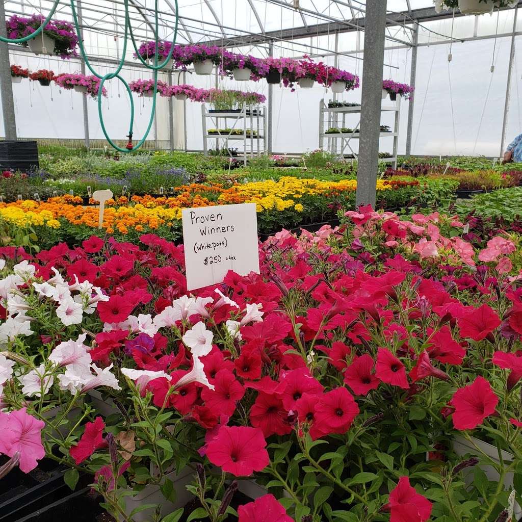 Shenks Greenhouse | 2199 Old Philadelphia Pike, Lancaster, PA 17602, USA | Phone: (717) 397-0430