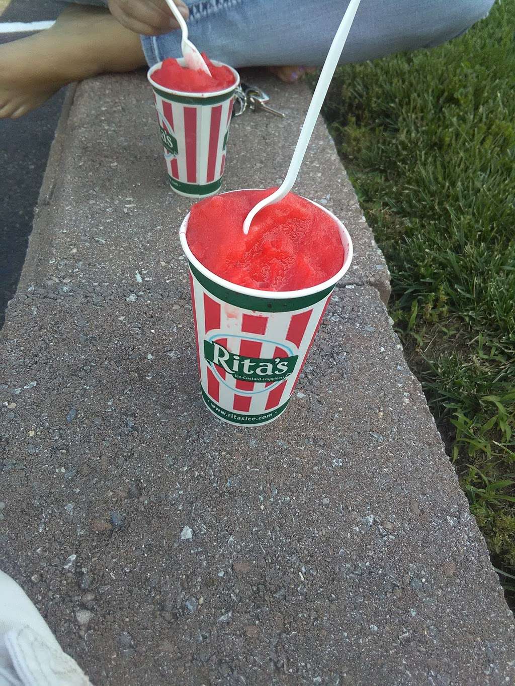 Ritas Italian Ice & Frozen Custard | 1435 Chester Pike, Eddystone, PA 19022, USA | Phone: (610) 872-3031