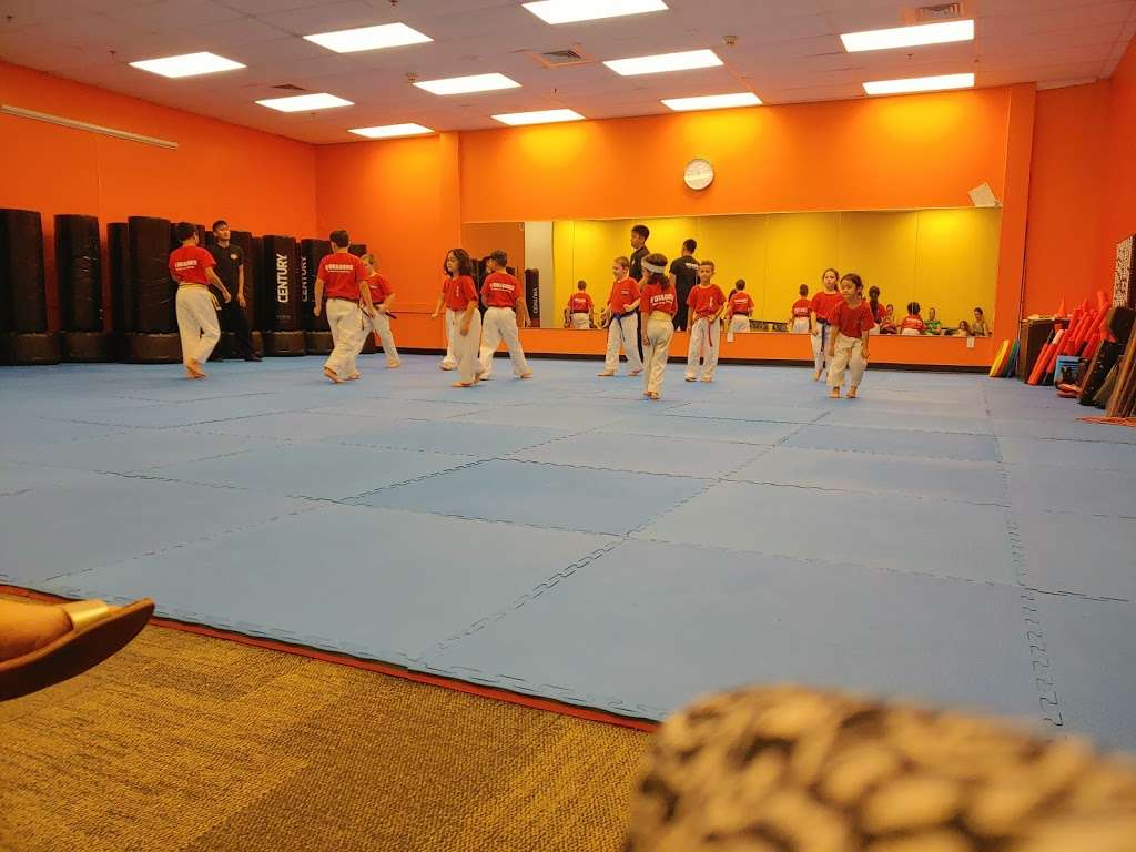 5 Dragons Martial Arts Academy | 6 Merrill St, Salisbury, MA 01952, USA | Phone: (978) 905-6013